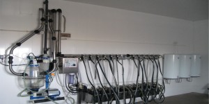 молокопровод