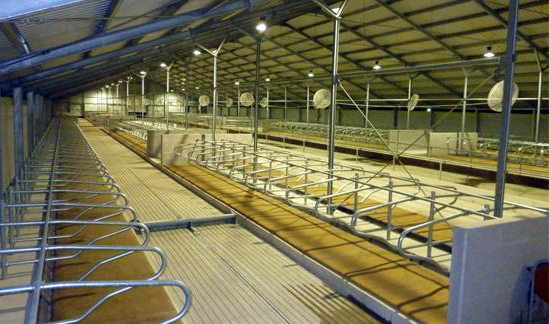 стойловое оборудование беспривязного содержания